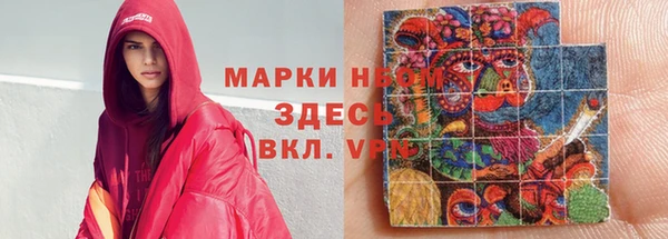 шишки Абаза