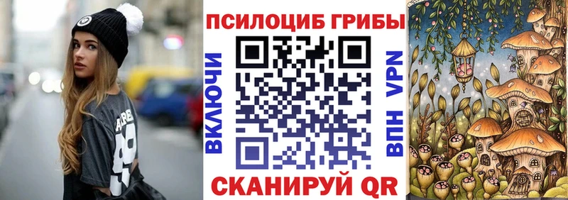 Галлюциногенные грибы Cubensis  где продают   Заводоуковск 