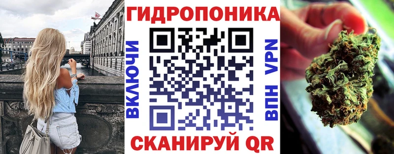 Каннабис семена  darknet какой сайт  Заводоуковск  наркошоп 